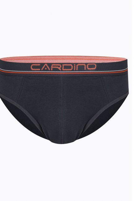 Quần sịp nam Cardino Việt Nam CN44
