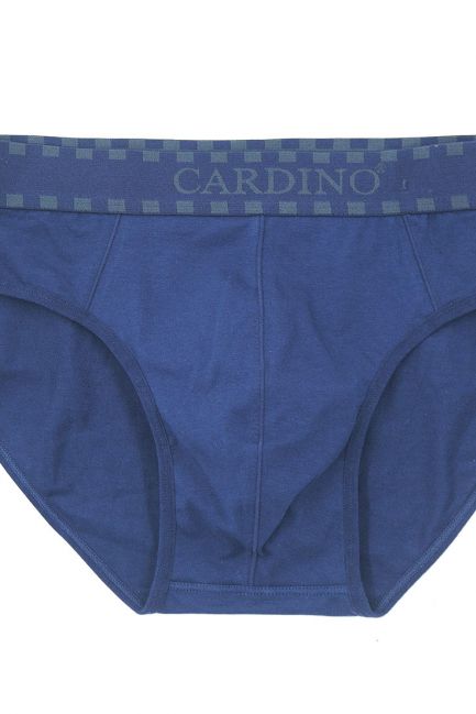 Quần lót nam Cardino Việt Nam CN45