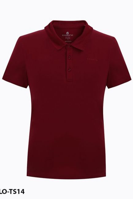 Áo polo nam APOLO-TS14